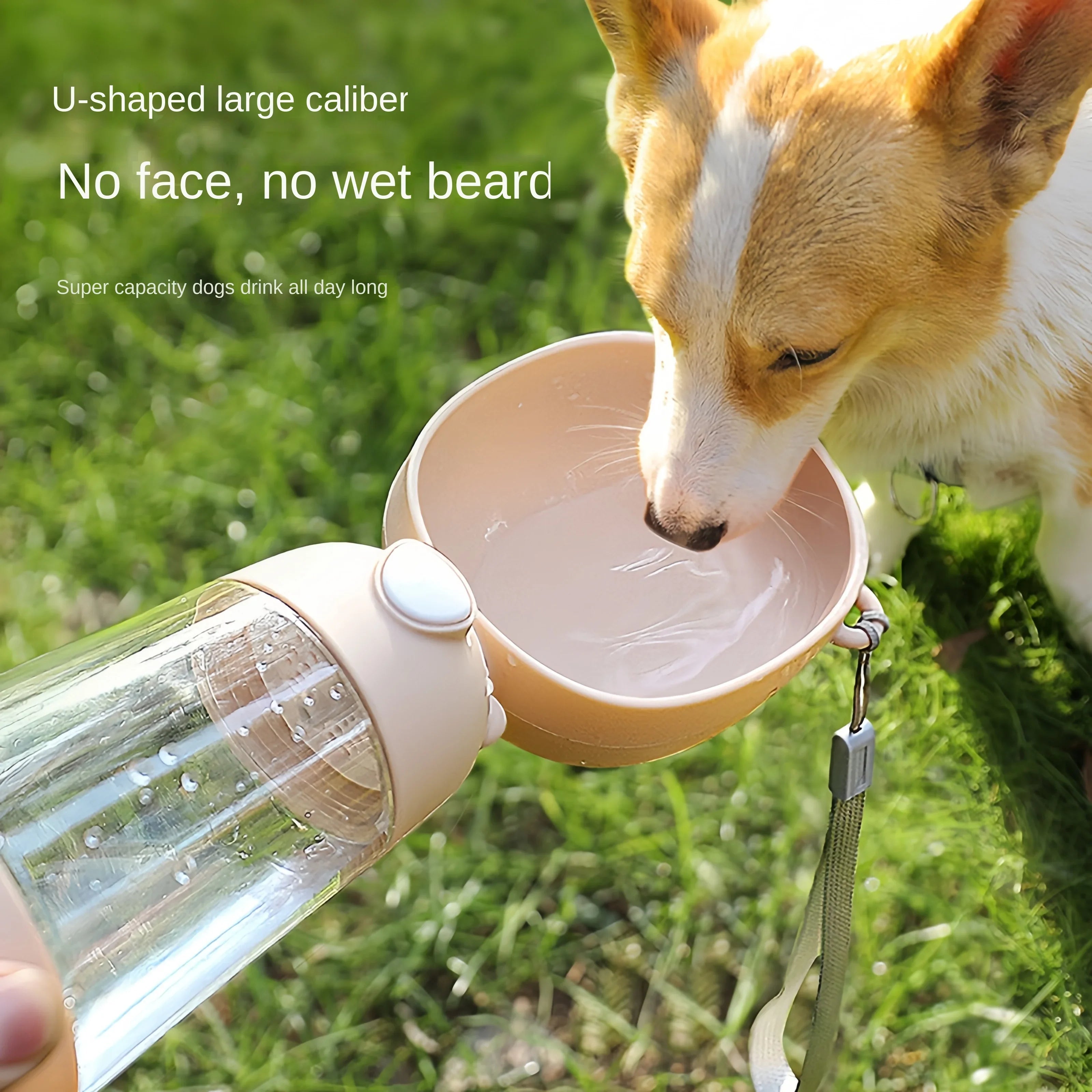 2 in 1 Portable Dog Cat Water Bottle