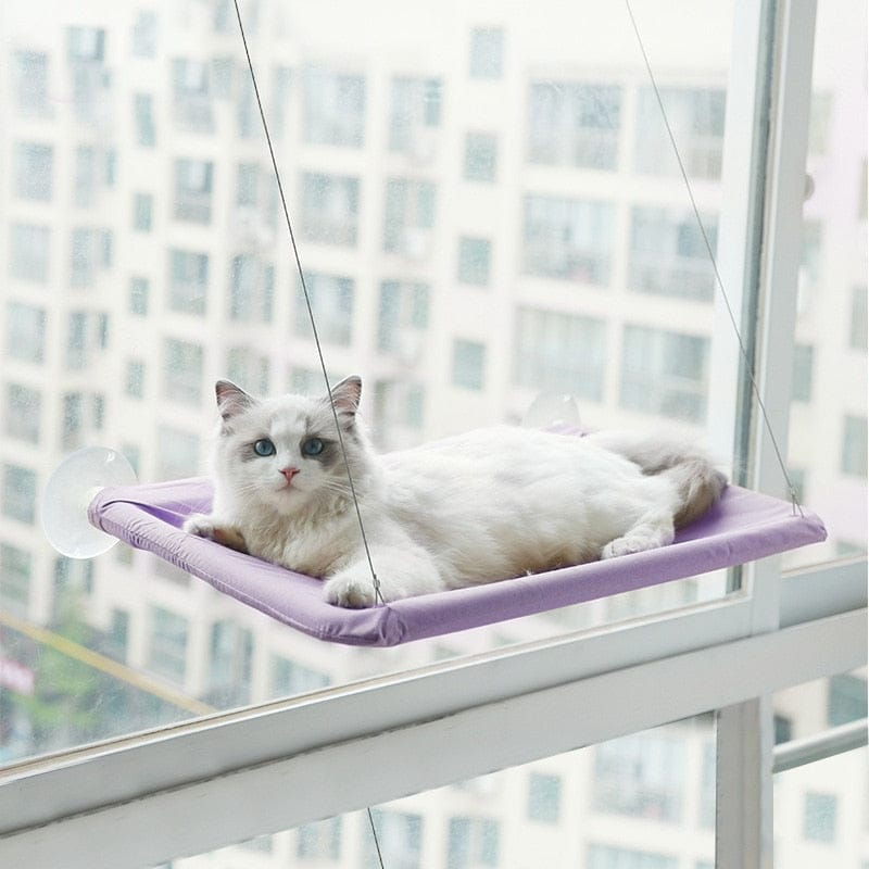 Cute Pet Hanging Beds Bearing upto 20kg