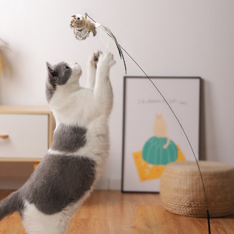 Simulation Funny Feather Bird Interactive Cat Toy